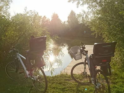 Bild 35 aus  Susi's Kellerstöckl