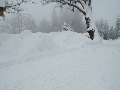 Bild 49 aus  Kollmannbauer