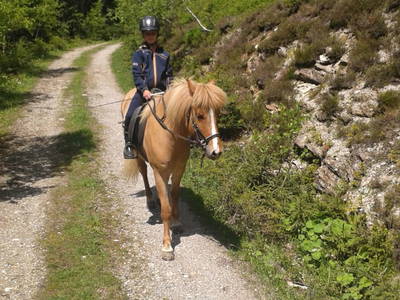 Bild 26 aus  Oberegghof