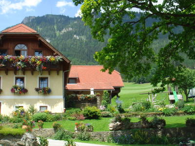 Bild 37 aus  Michlbauer