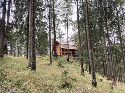 Bild 87 aus  Die Hinterbreiteneben - Natur, Alleinlage & Ski