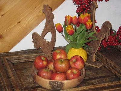 Bild 18 aus  Bauernhof Wachter