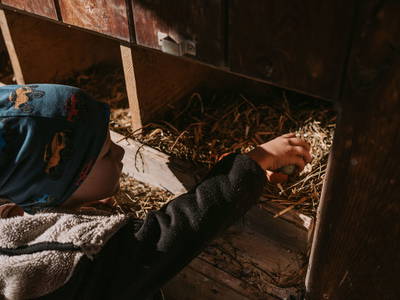 Bild 6 aus  Gasperhof