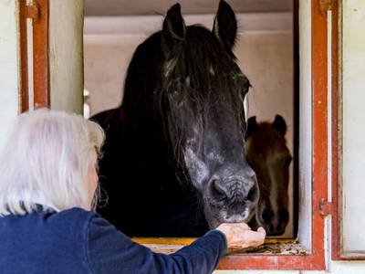Bild 31 aus  Haus Eveline