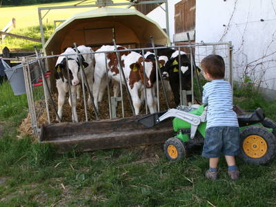 Bild 16 aus  Ferienhof  am Hennesee