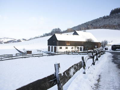 Bild 4 aus  Pony und Ferienhof Gut Habbecke