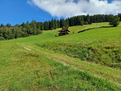 Bild 4 aus  Berghütte Boid