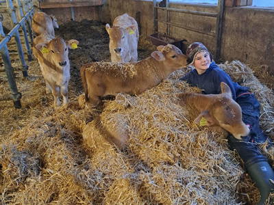 Bild 35 aus  Rotlechner