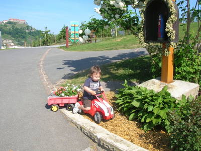 Bild 53 aus  Weinhof Amtmann