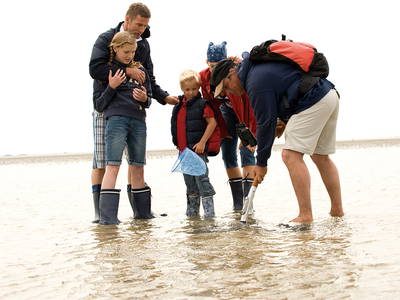 Bild 2 aus  Ferienhof Peter -  Ponys - streicheln, striegeln, füttern  -  Wattwanderungen + ganz viel Nordsee