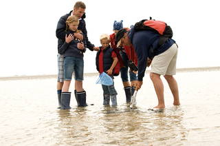 Ferienhof Peter -  Ponys, Pferdebetreuung, Wattwanderungen + ganz viel Nordsee aus Vollerwiek