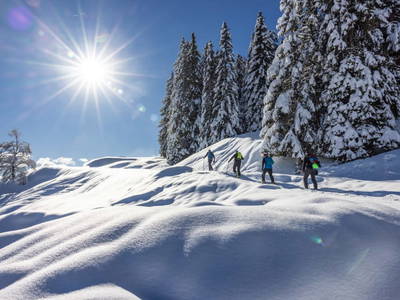 Bild 69 aus  Hotel Hansbauerhof