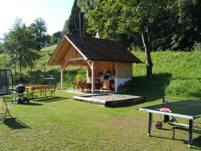 Bild 66 aus  Hausmi