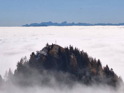 Bild 51 aus  Almhütte Pucher