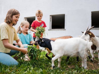 Bild 7 aus  Grainmeister