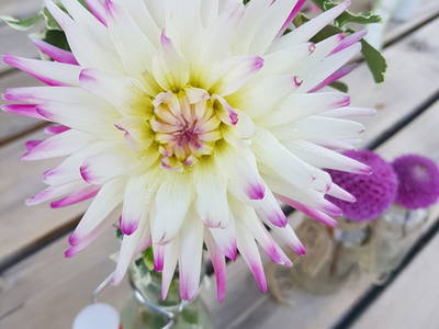 Bild 58 aus  Windhofgut