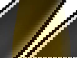 Bild 19 aus  Weingut Familie Schuster 