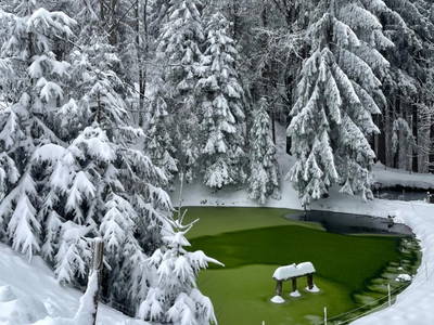 Bild 227 aus  Seewaldhof