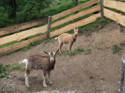 Bild 29 aus  Panorama Hof Fa. Sereinig