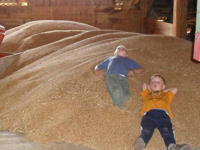 Bild 10 aus  Biobauernhof Morhof