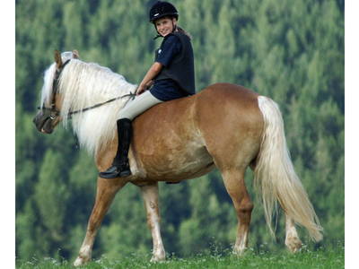 Bild 26 aus  Schaglhof