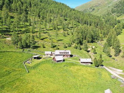 Bild 284 aus  Wolfsbachhütte