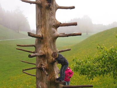 Bild 57 aus  Bachrain - Bio am Berg 