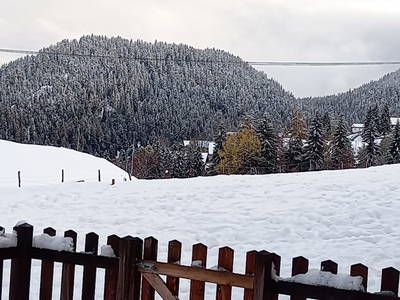 Bild 21 aus  Residence Waldrelax