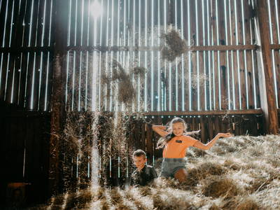 Bild 5 aus  Bauernhofurlaub  Sinnhubgut