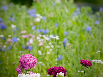 Bild 63 aus  Naturhof Innauer