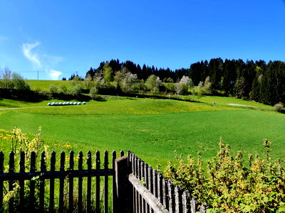 Bild 18 aus Biohof Viertl