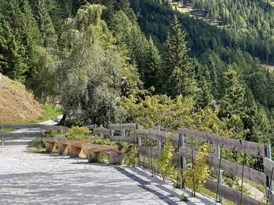 Bild 68 aus  Reiterbauer Chalet