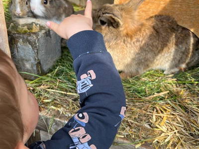 Bild 52 aus  Schaidreithof