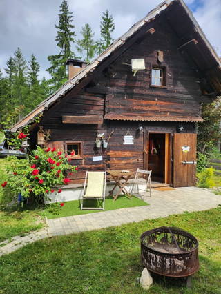 Waldbienenhütte am Erlebnisbiobauernhof - Hütte Vordersicht