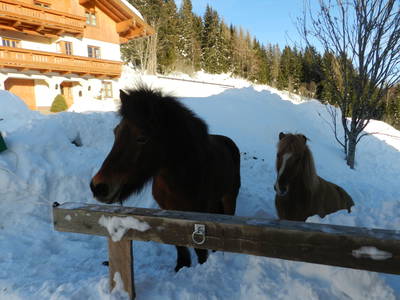 Bild 71 aus  Oberegghof