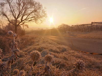 Bild 62 aus  Gästehaus Greisslerei Gösing 