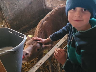 Bild 16 aus  Familienparadies Zeislerhof