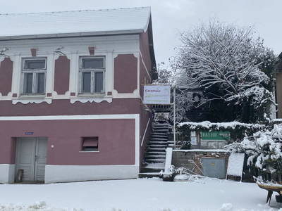 Bild 179 aus  Traubengarten Winkler