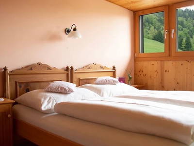 Bild 49 aus  Bio-Ferienbauernhof Greber