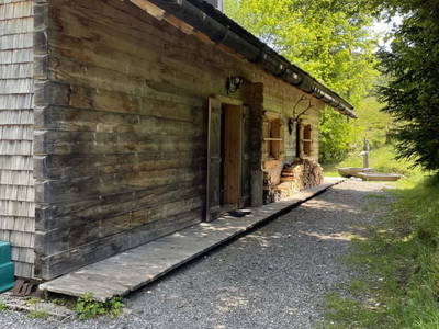 Bild 12 aus  Kühleitalm