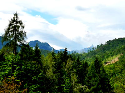 Bild 223 aus Arlitscherhof