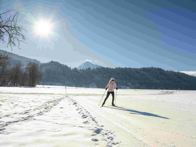 Bild 102 aus  Sinnhubgut