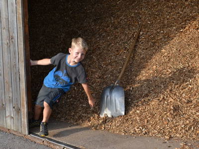 Bild 59 aus  Dorner Hof