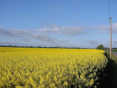 Bild 10 aus  Ferienhaus Gut Rattelvitz-INSEL RÜGEN