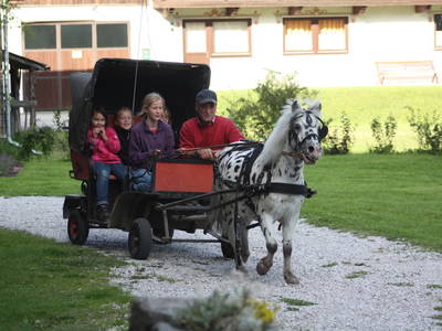 Bild 10 aus  Tschaperhof - Urlaub mit Pferd