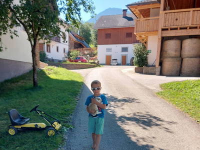 Bild 18 aus  Chalet Troadkasten - Biohof Kreilgut