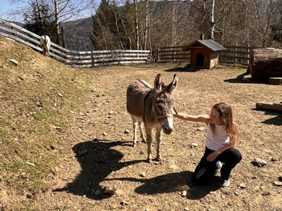 Bild 13 aus  Lahnerhof