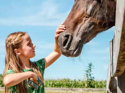 Bild 22 aus  Huberhof