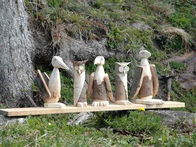 Bild 90 aus  Panoramahof am Goldberg