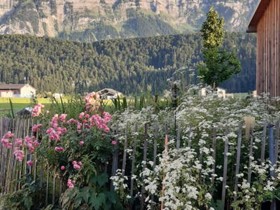 Bild 8 aus  Bio-Gmeinerhof